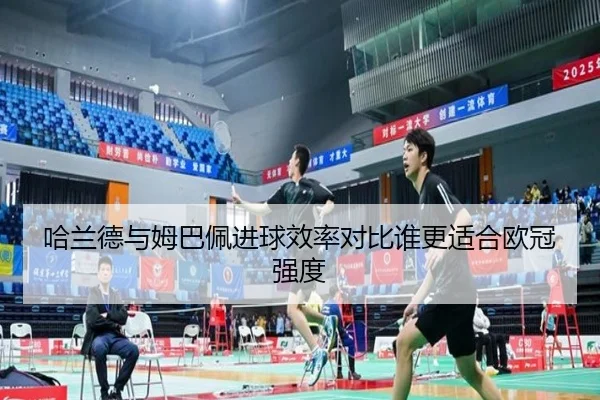 哈兰德与姆巴佩进球效率对比谁更适合欧冠强度